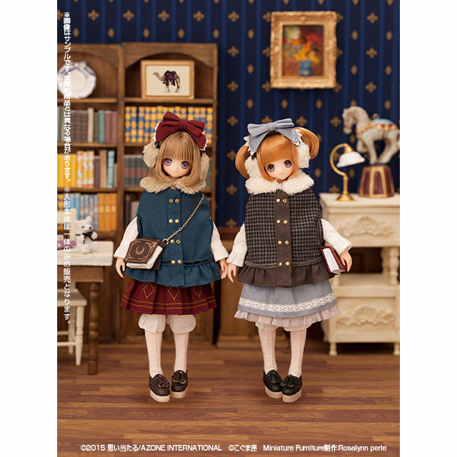 (現貨) AZONE 1/6可動人偶娃娃 童話系列 Little Princess Nina 小女僕 Chisa