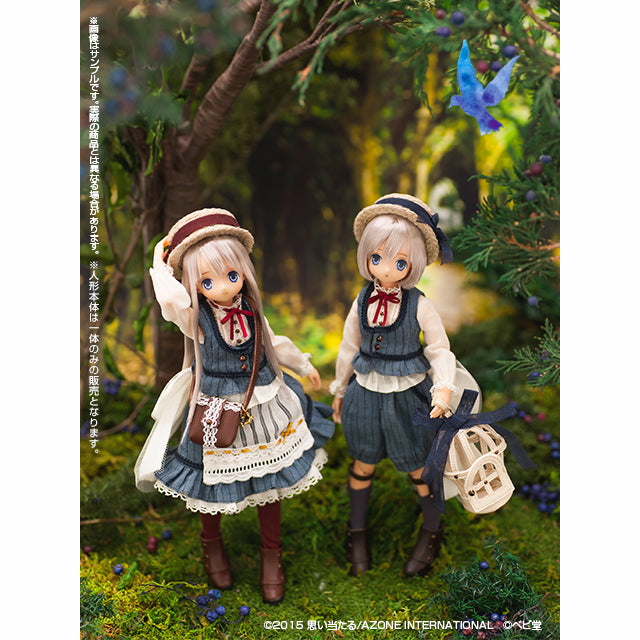 (現貨) AZONE 1/6可動人偶娃娃 童話系列 青鳥 Sorane